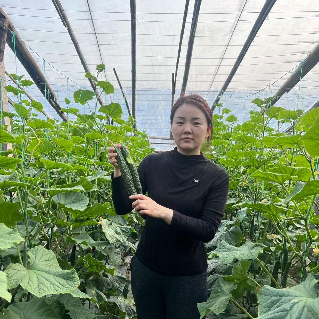 小丽甄选农产品