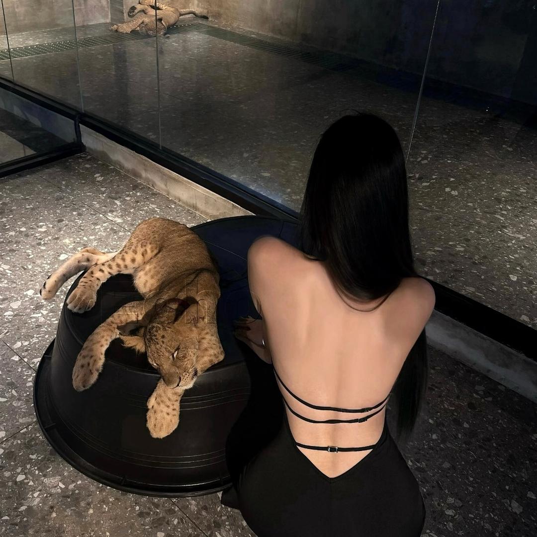 徐子.