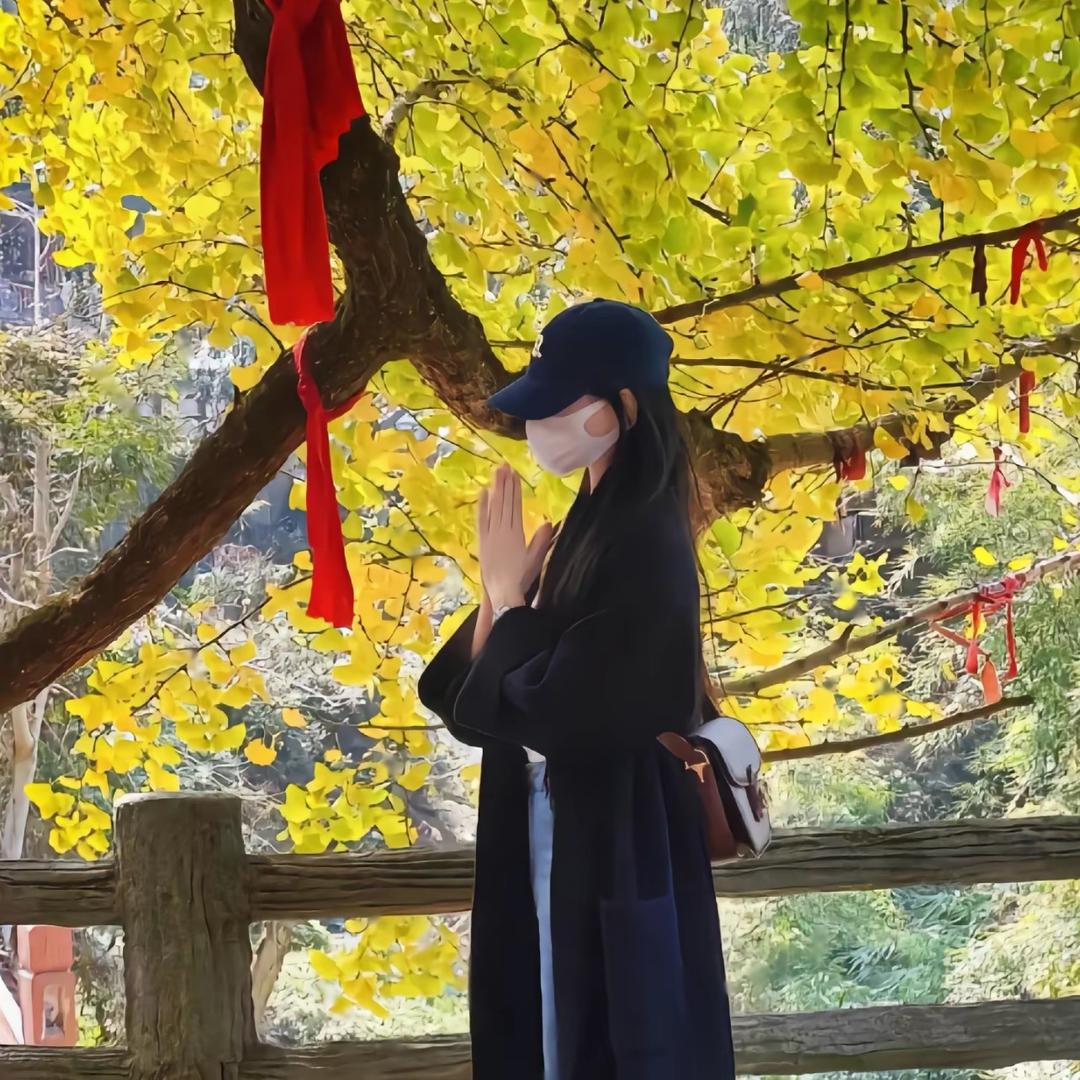 🍒清欢渡🌈意难平