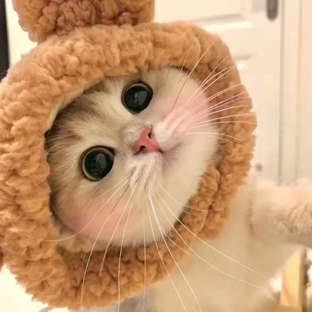 M.琪～