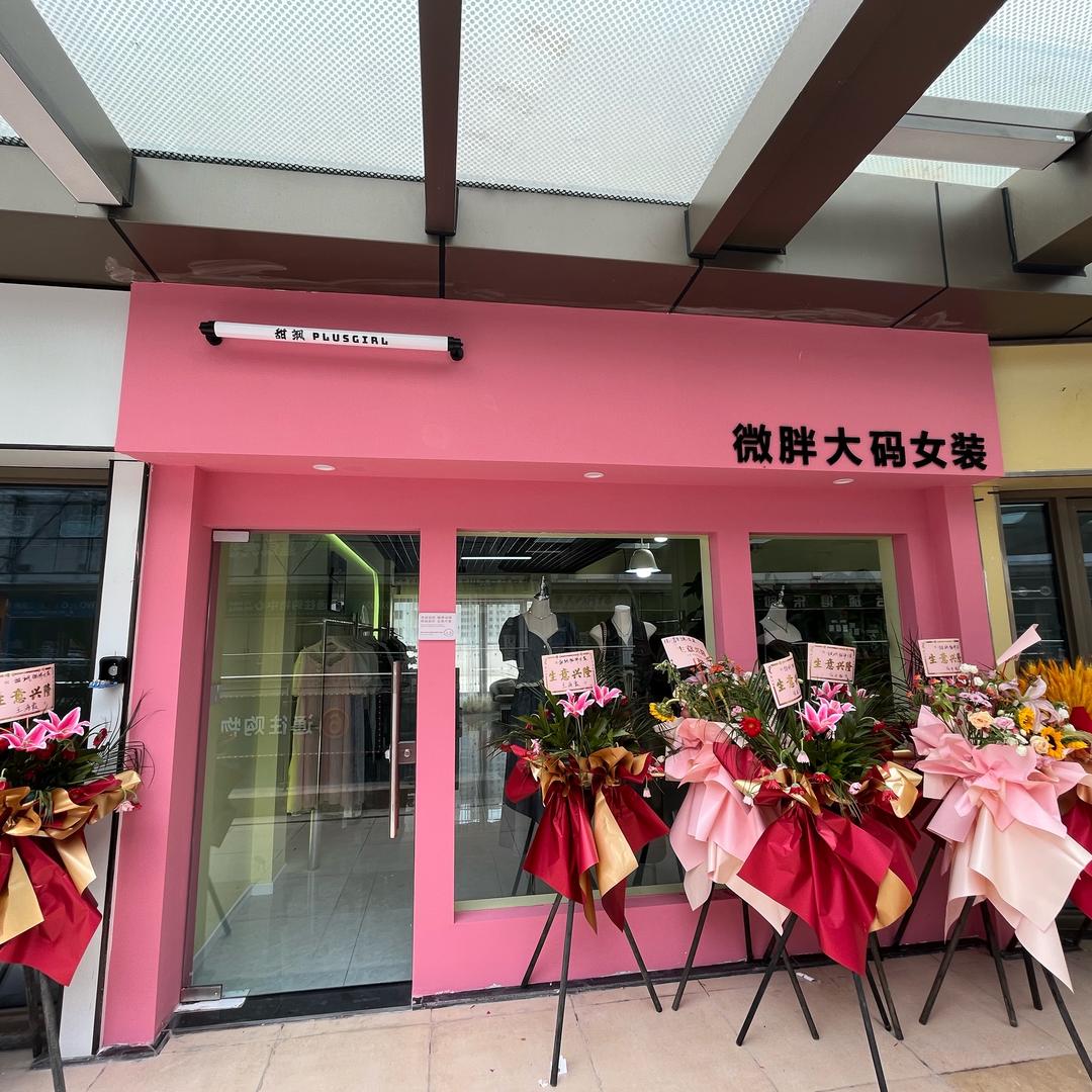 甜飒微胖大码女装集合店