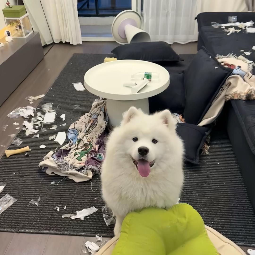 睡觉了