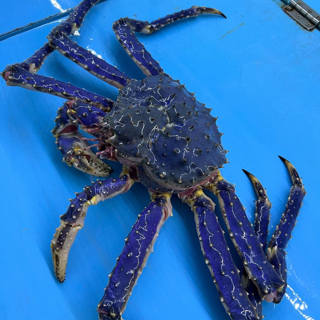 呆乐山鲜生（珲春站）