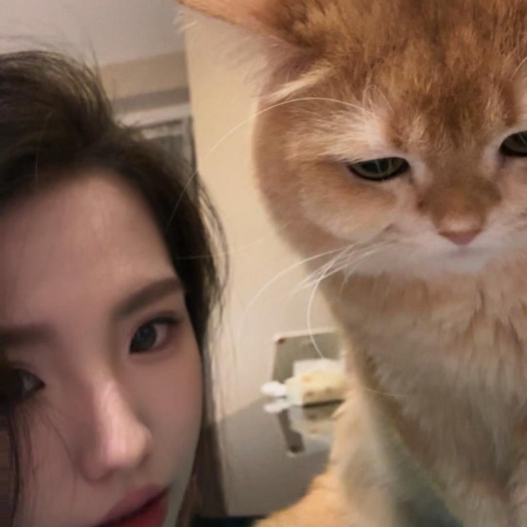 一碗鱼