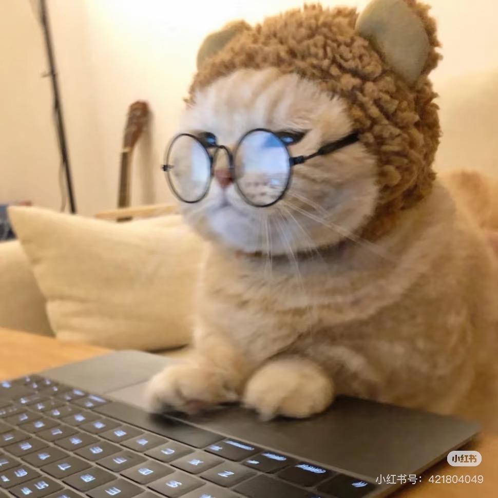 胡柚茶