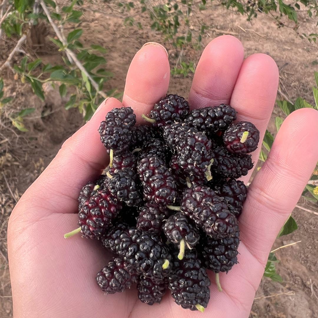 @壹玖玖壹 零壹零叁