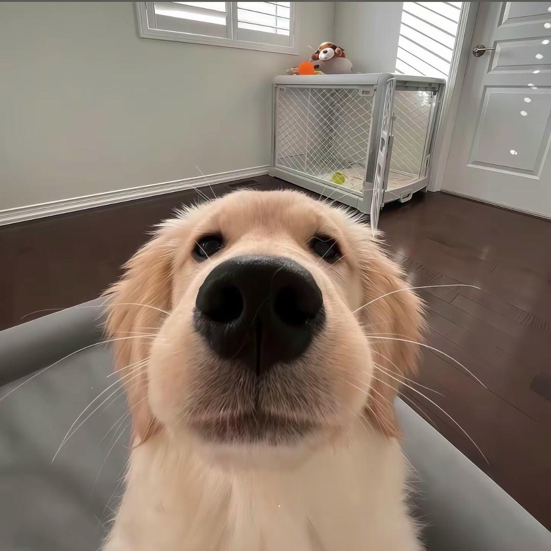 周末.