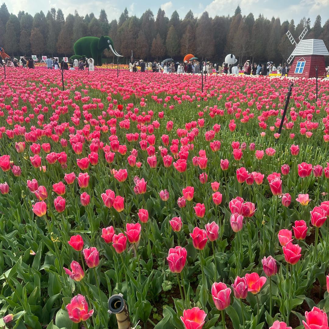 顺风顺水