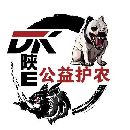 陕E 公益护农-小雨