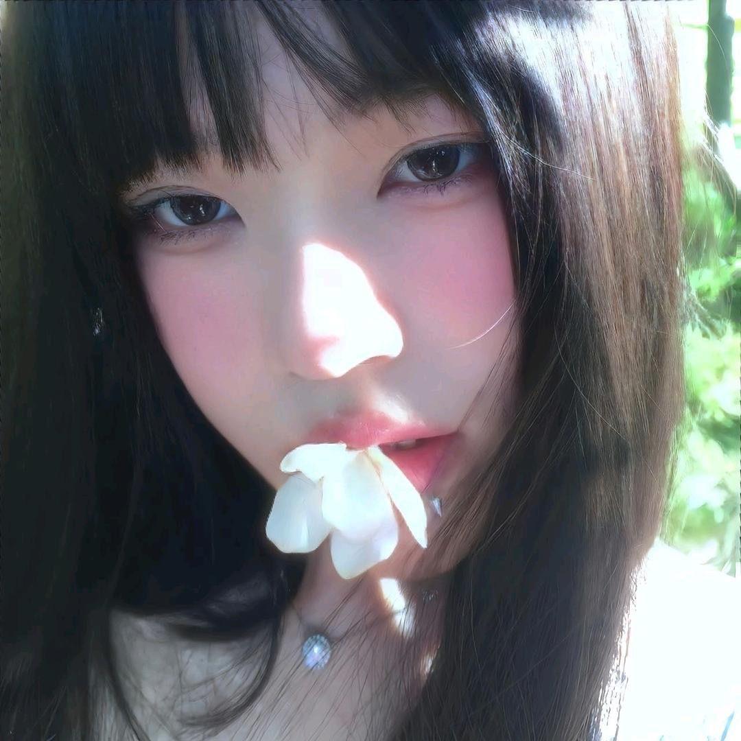 李圣经