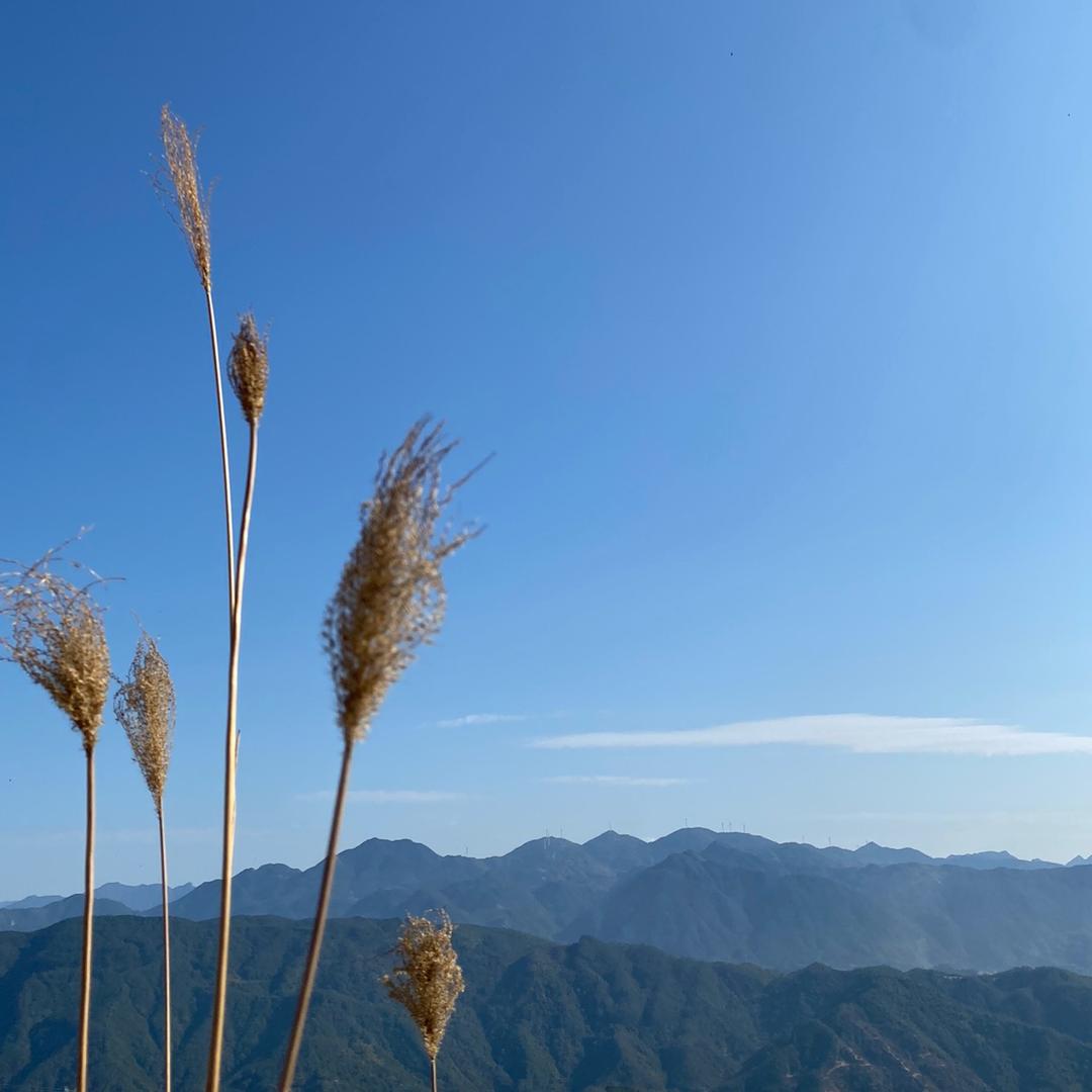 花囍好物推荐
