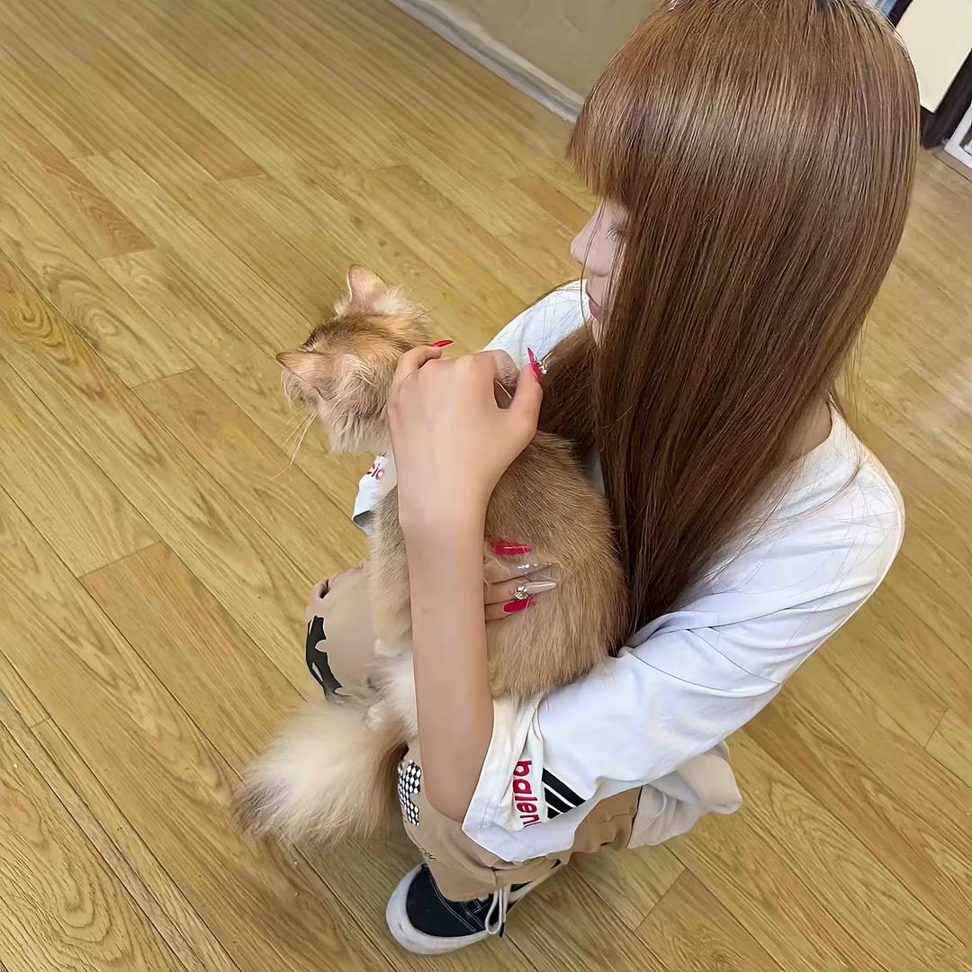 晗崽 ꒦ິ^꒦ິ