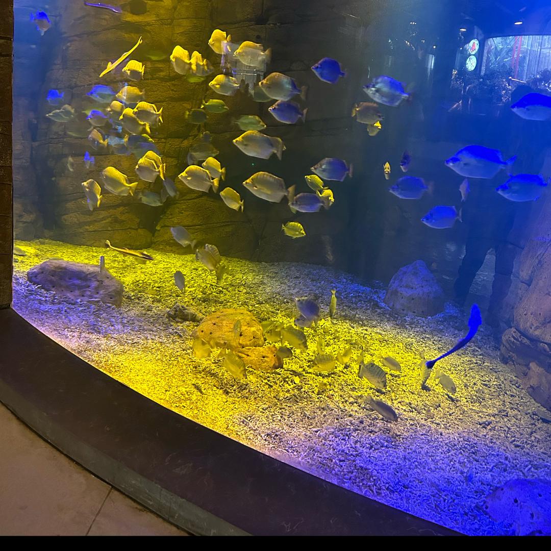 麤麤麤麤