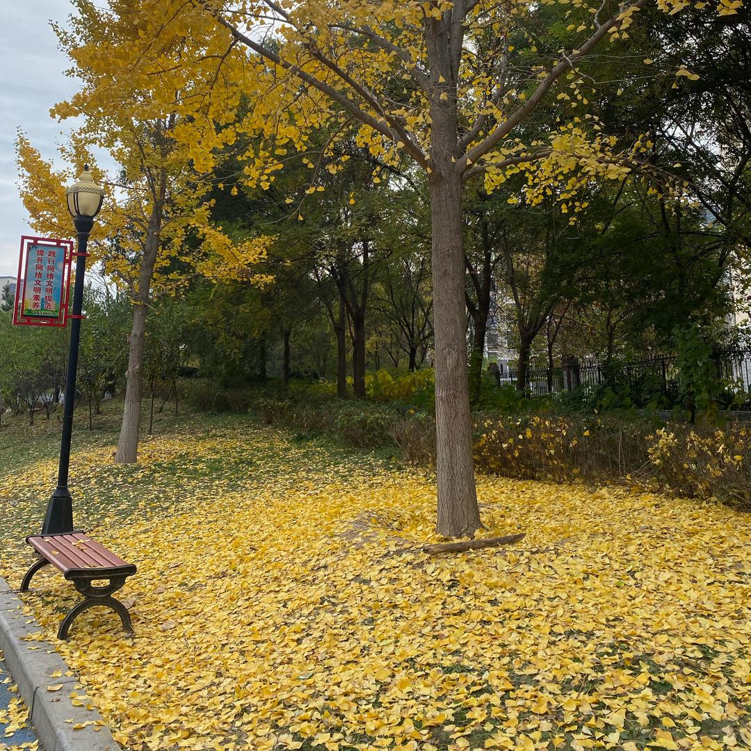 岁岁平安，顺水顺风