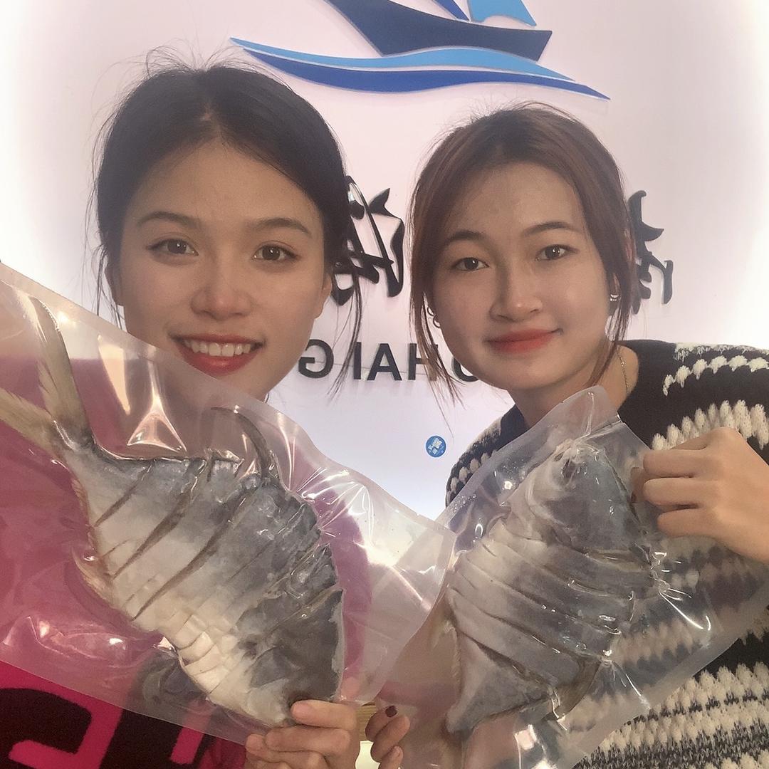 南国海贡