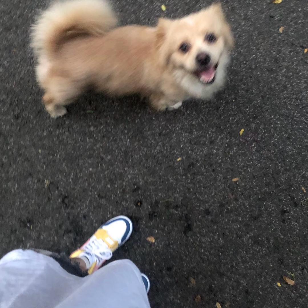 九九八十一