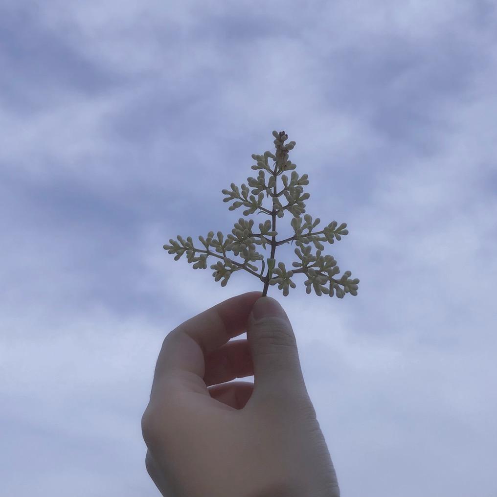 烟雨-三角洲行动