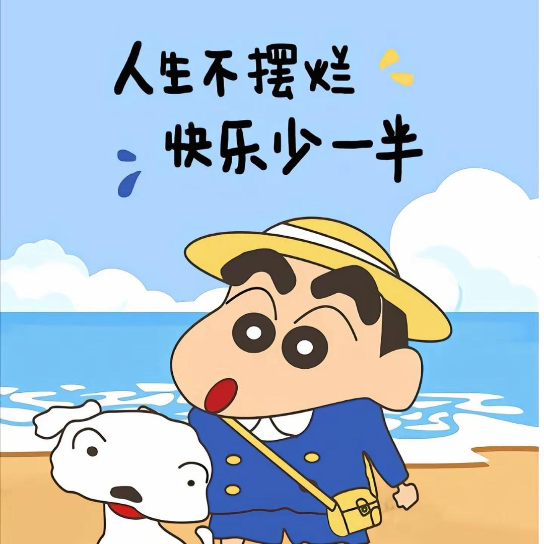 口袋-3041科科