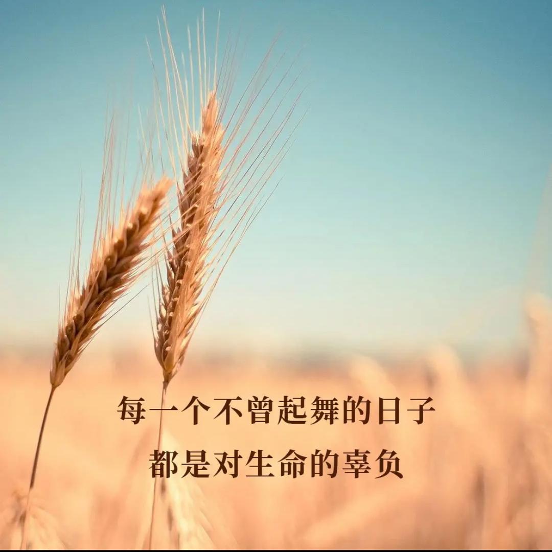 中亿