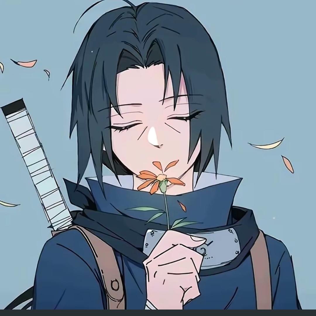 启鼬