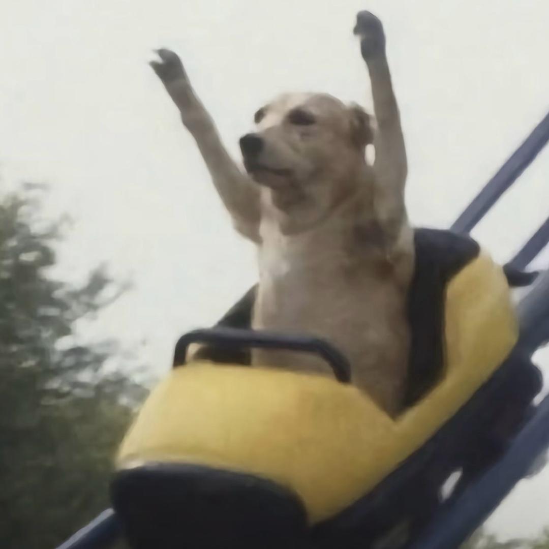 网恋漏牛被截图