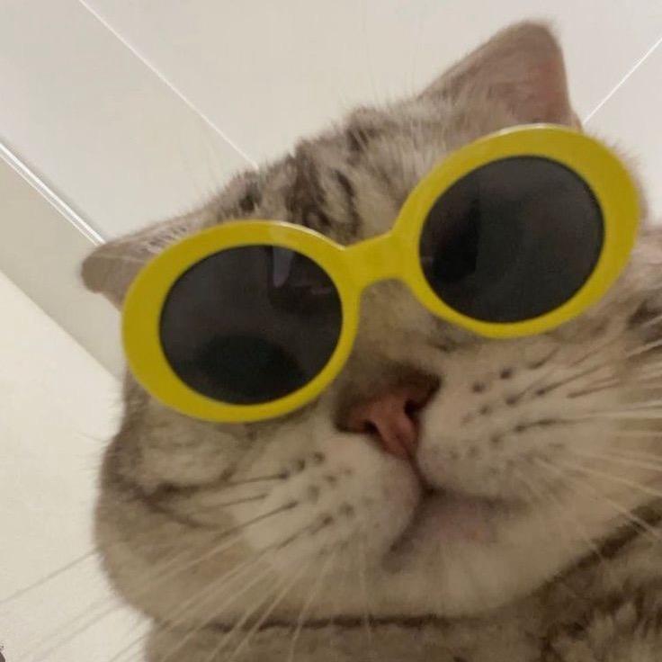 Bbya🐱