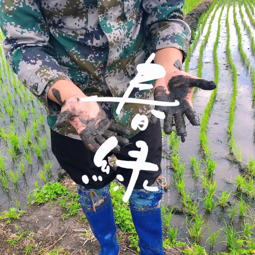 林创助农