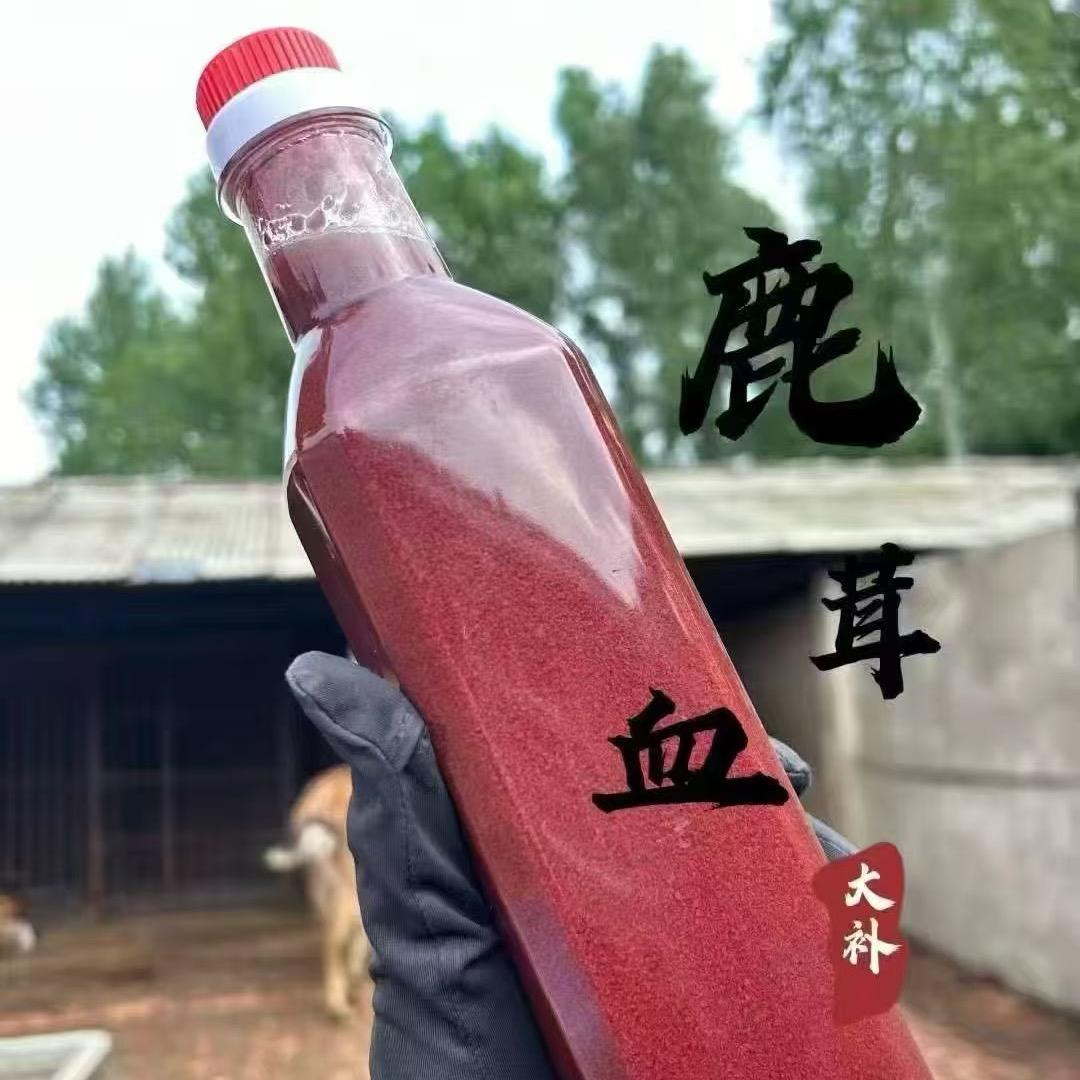 鹿小红🌹