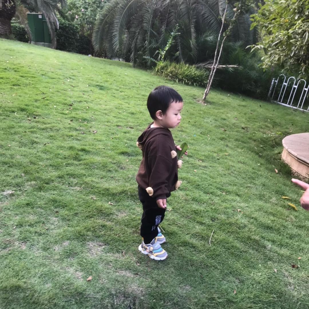 罗汉果