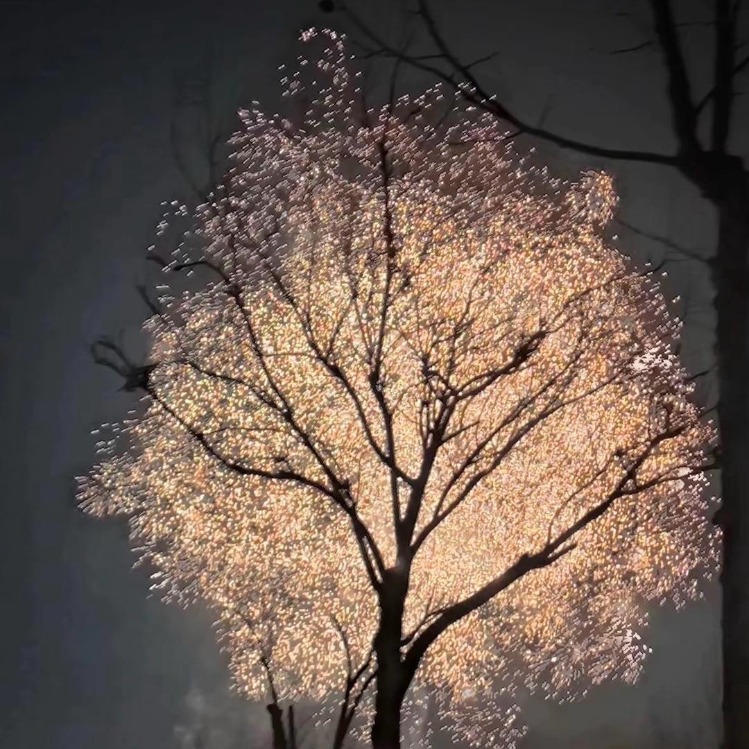 三年零一个礼拜