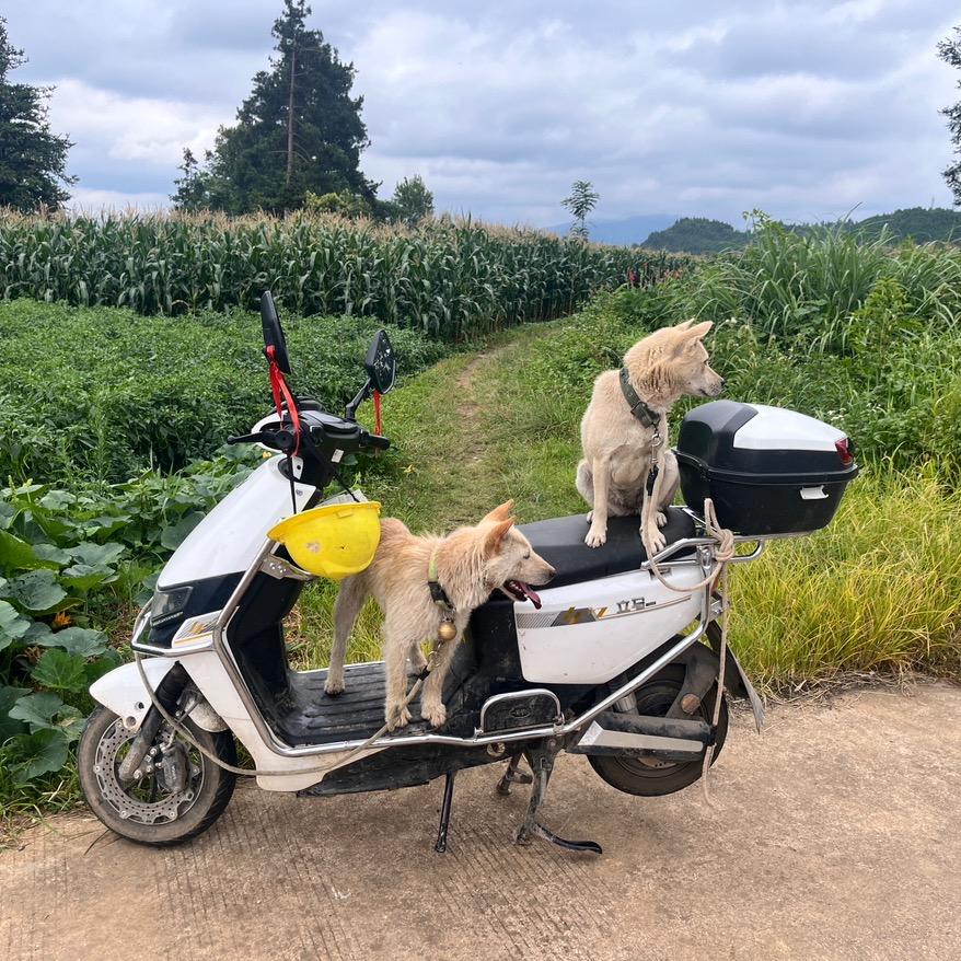 实战土猎（啊海）