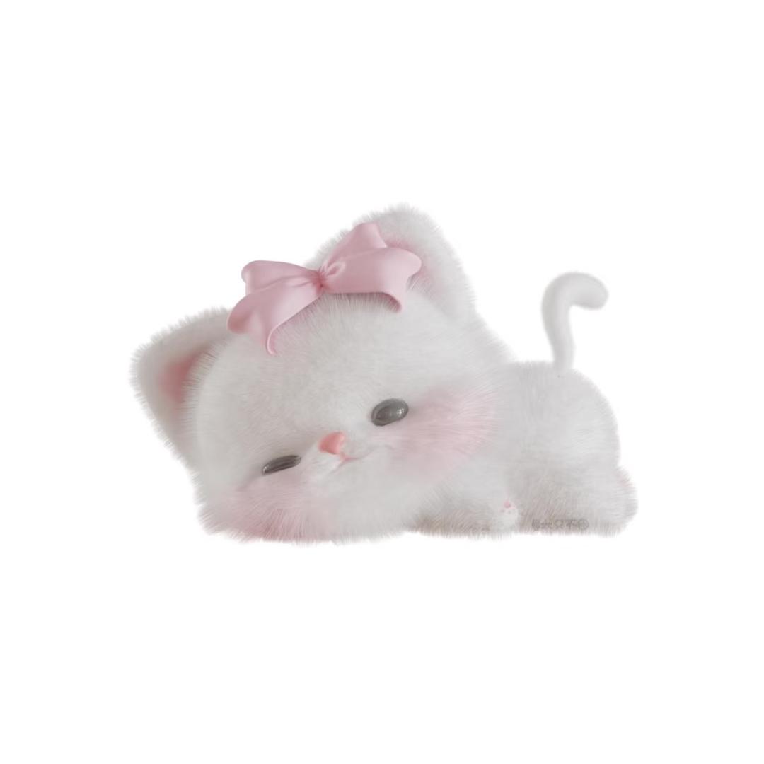 cat诺诺
