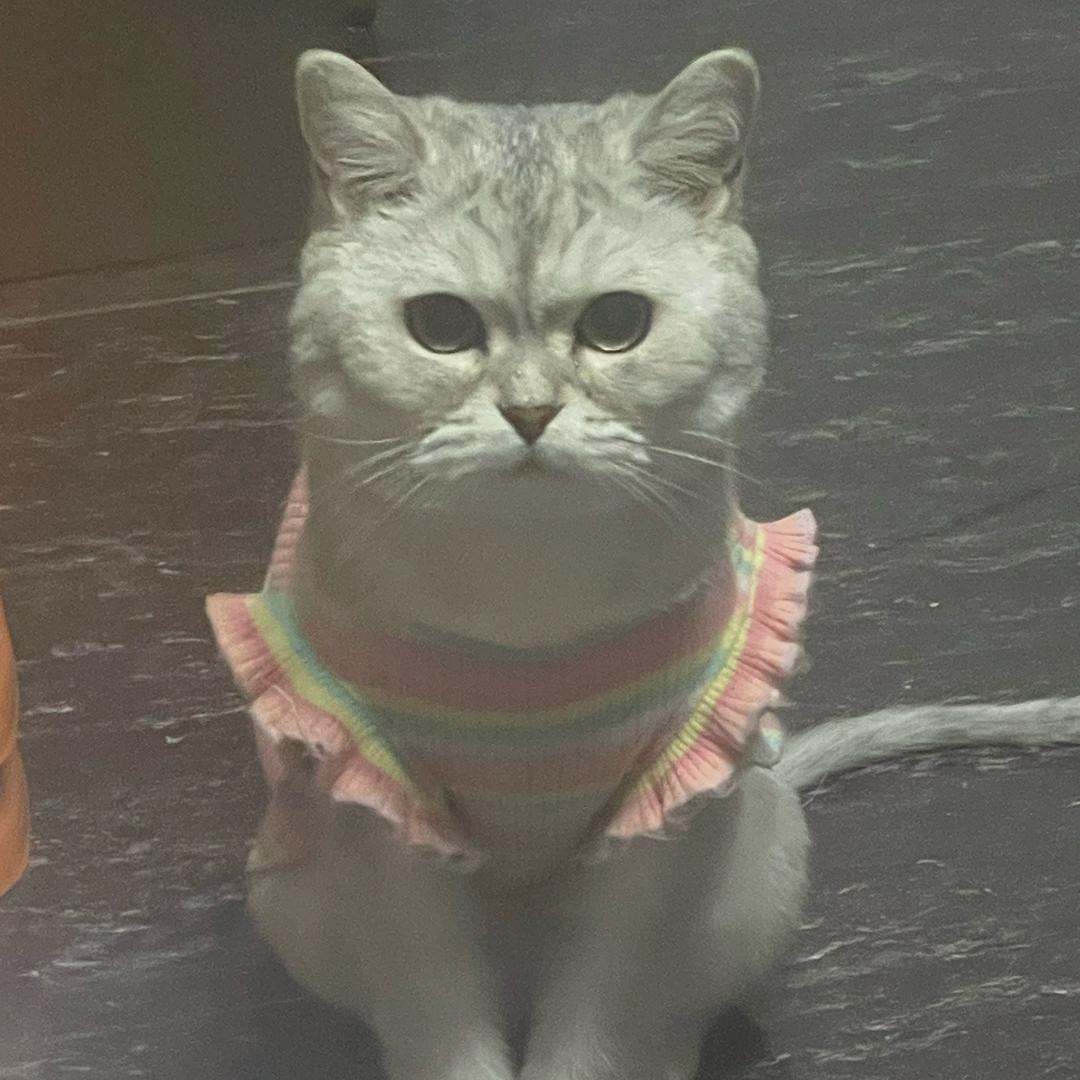 张丽<🌺🍃。>