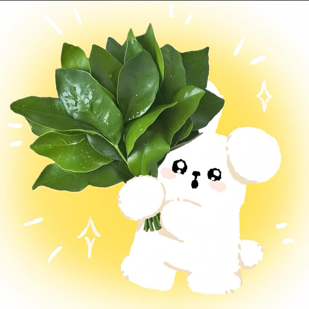 泪水打湿小由酱再也不上你的当