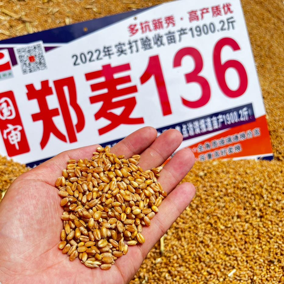 延津帝益麦种业