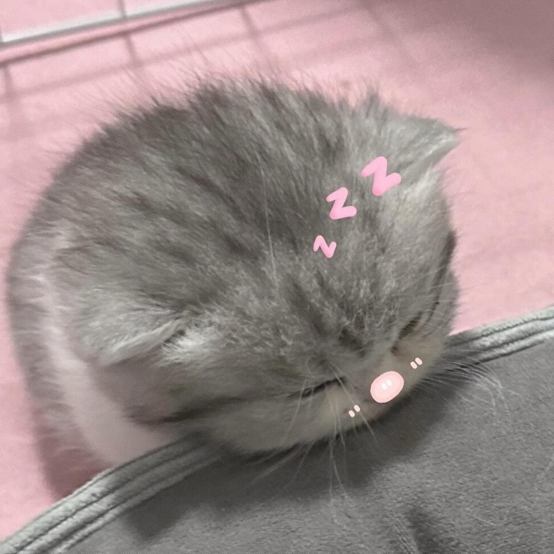 一直睡到星期❻.