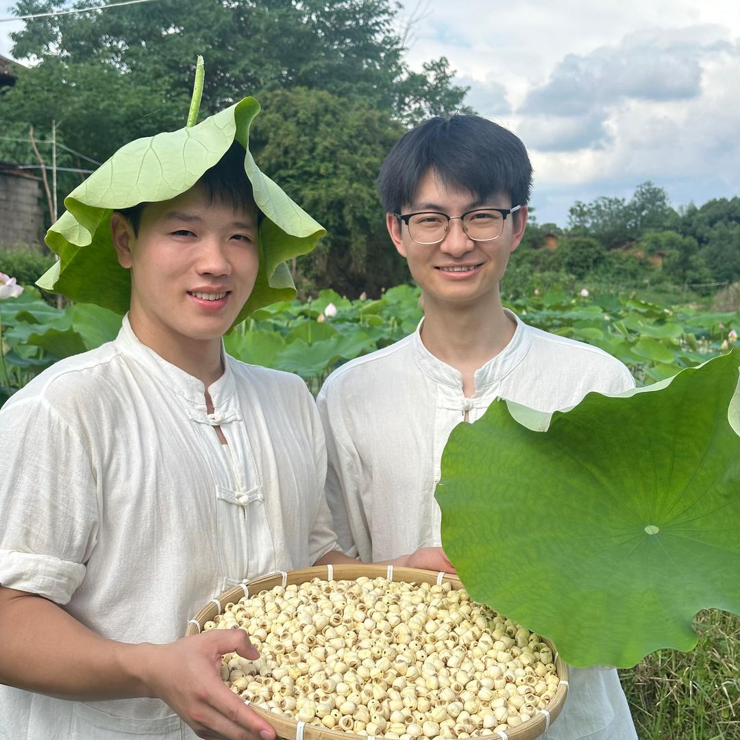 乡胞胎莲乡优选