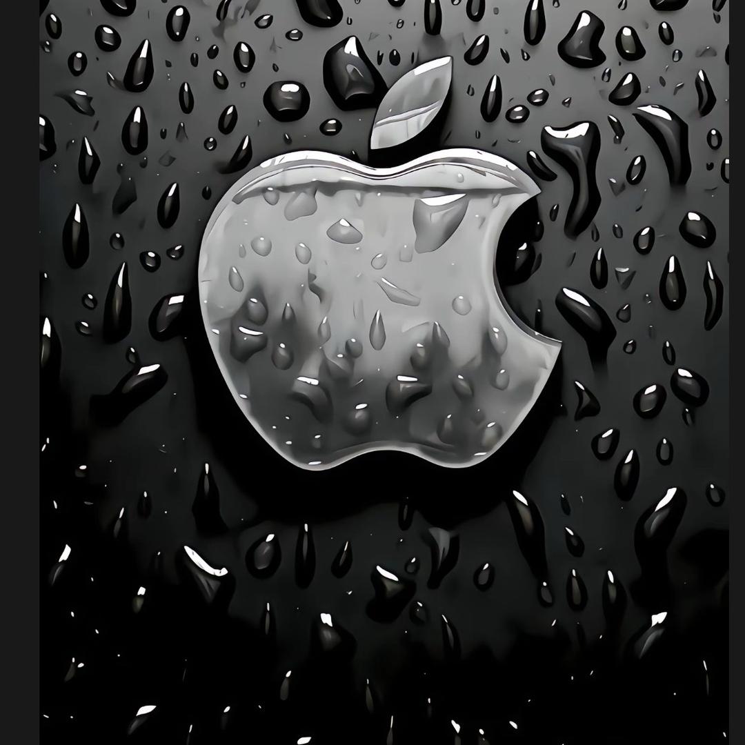 安记资管（极速控车）