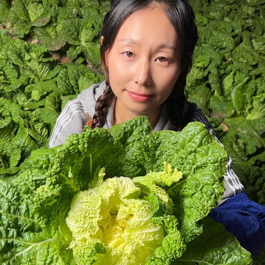 云南小滇妹