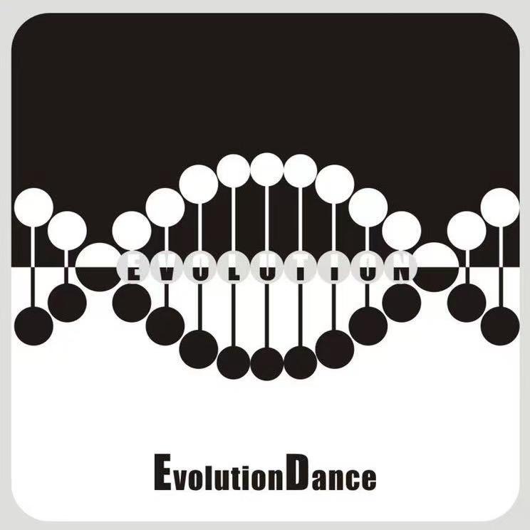 进化文化杨帆老师