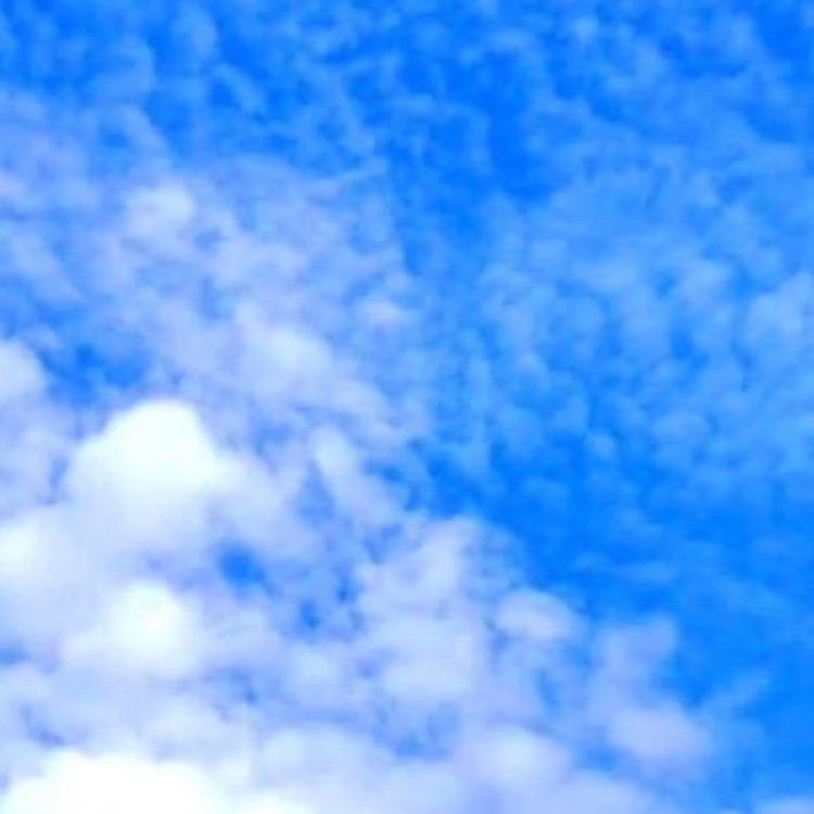 晨曦