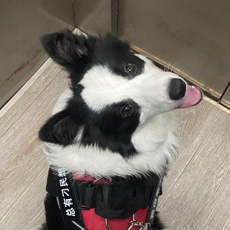 💋土豆是个小调皮