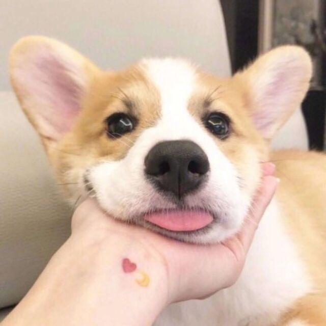 小花