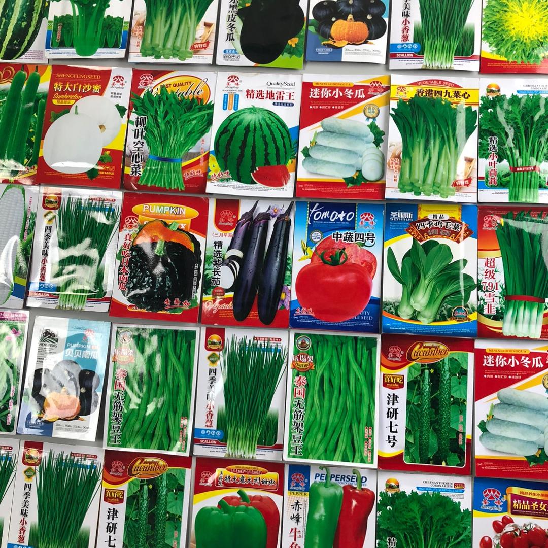 婷婷的菜园