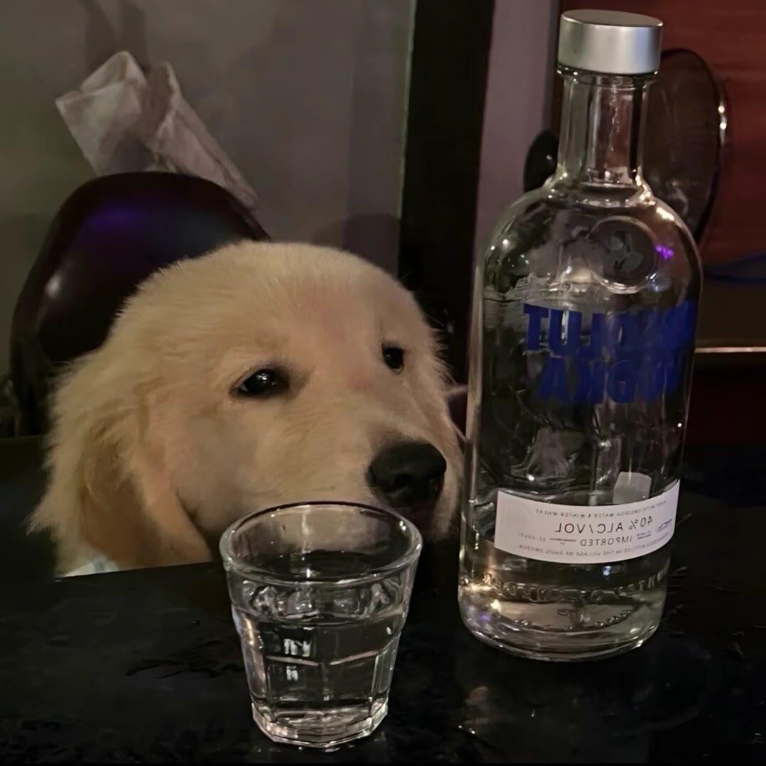 2y