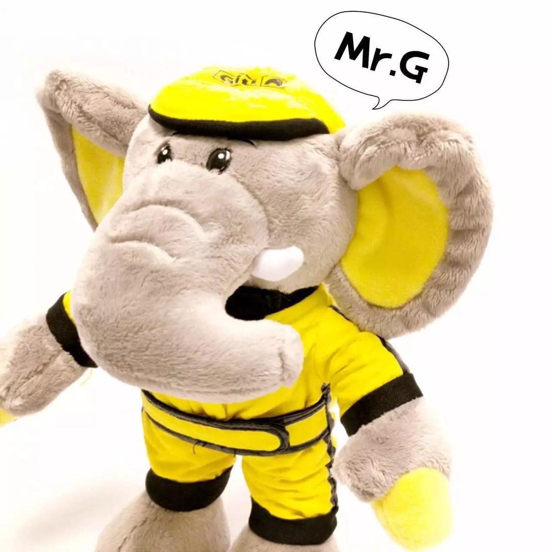 Aa桐梓佳通轮胎