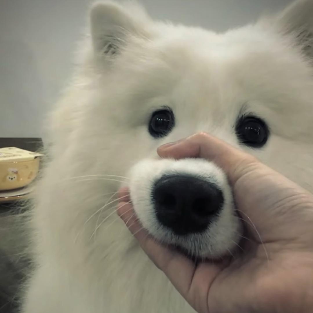 @起风了