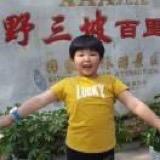 盈盈一水间，脉脉不得语