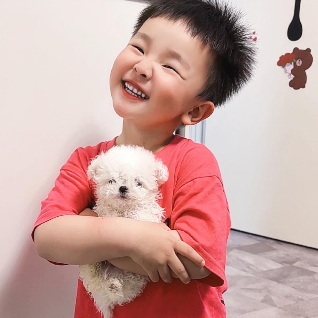 毛驴子