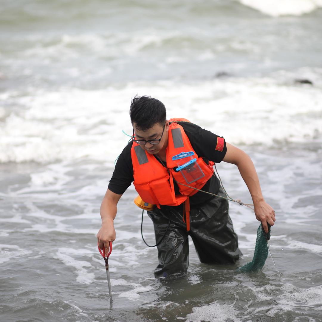 小马赶海